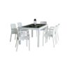 Combo mesa Indonesia vidrio y 6 sillas Guinea blanco